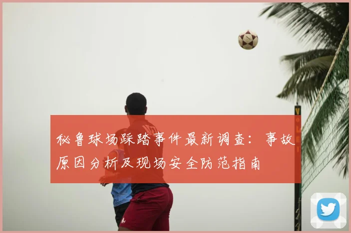秘鲁球场踩踏事件最新调查：事故原因分析及现场安全防范指南