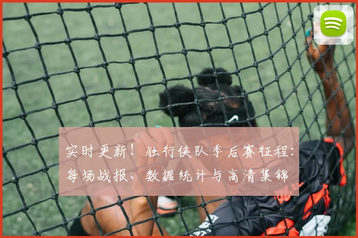 实时更新！独行侠队季后赛征程：每场战报、数据统计与高清集锦